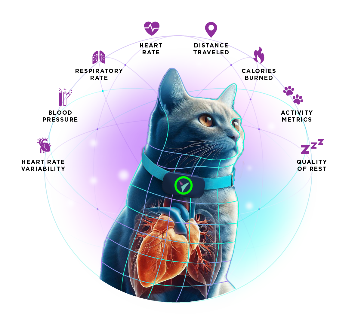 Voyce tracks critical veterinary vitals, including blood pressure, heart rate, respiratory rate, activity, and more. Veterinary health metrics and vitals monitored by the noninvasive Voyce veterinary diagnostic sensor