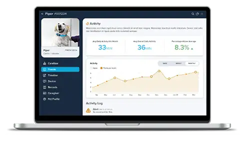 The Voyce professional veterinary diagnostic dashboard for an individual patient